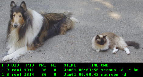 [Seamus and Maureen]